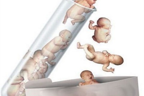 http://jiaxing.dacou.net/post/194.html|嘉兴新闻中心
